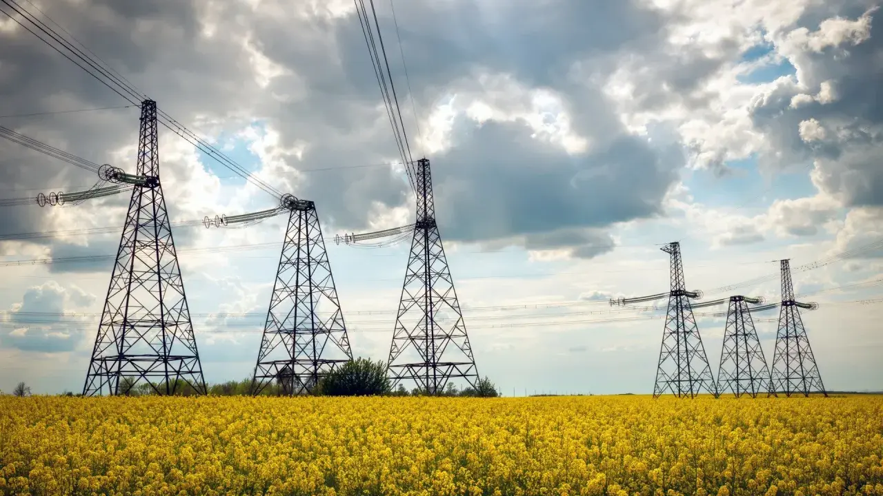 Słupy energetyczne na kwitnącym polu rzepaku. Zastanawiasz się, ile wynosi odszkodowanie za słupy energetyczne na działce?