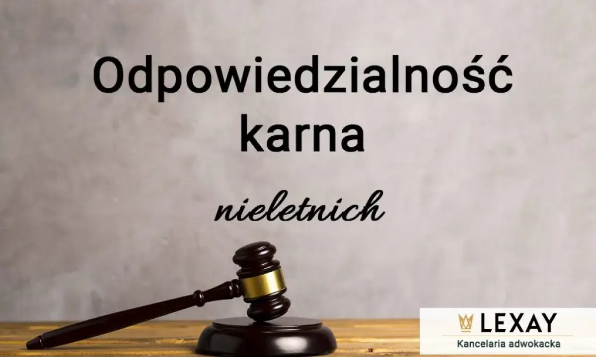Prawnik może być karany? Rodzaje odpowiedzialności i konsekwencje