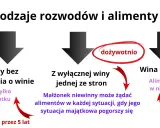 Pozew o alimenty: ukryte koszty? Sprawdź, ile naprawdę zapłacisz