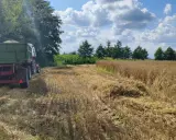 Emerytura z KRUS? Wypełnij zeznanie świadka Z-10 bezbłędnie!