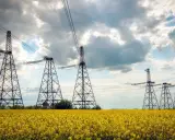 Słupy energetyczne na kwitnącym polu rzepaku. Zastanawiasz się, ile wynosi odszkodowanie za słupy energetyczne na działce?