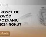 Pozew rozwodowy u prawnika: Ceny, czynniki i jak zaplanować budżet?