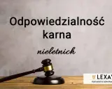 Prawnik może być karany? Rodzaje odpowiedzialności i konsekwencje