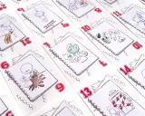 Grzywna z wyroku nakazowego: Zapłać krok po kroku i uniknij kar