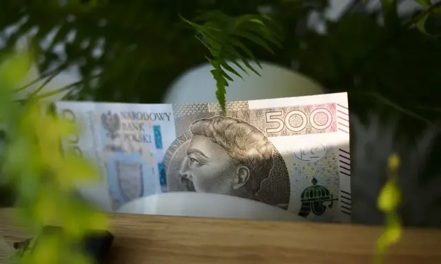 Pięćset złotych ukryte wśród zieleni. Może to początek oszczędzania na coś wyjątkowego, albo po prostu zasiedzenie w naturze z pieniędzmi.