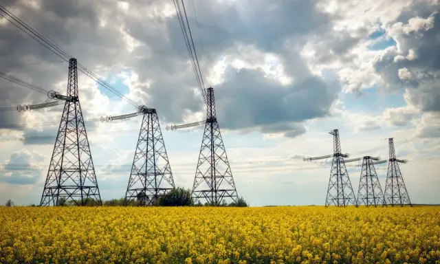 Słupy energetyczne na kwitnącym polu rzepaku. Zastanawiasz się, ile wynosi odszkodowanie za słupy energetyczne na działce?