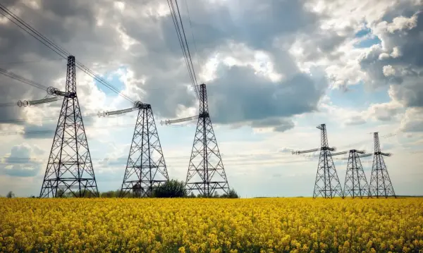 Słupy energetyczne na kwitnącym polu rzepaku. Zastanawiasz się, ile wynosi odszkodowanie za słupy energetyczne na działce?